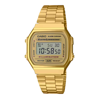 CASIO_Pansion
