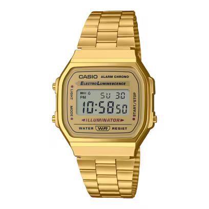 CASIO_Pansion